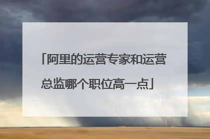 阿里的运营专家和运营总监哪个职位高一点