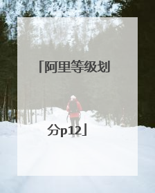 阿里等级划分p12