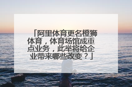 阿里体育更名橙狮体育,体育场馆成重点业务,此举将给企业带来哪些改变?