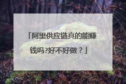 阿里供应链真的能赚钱吗?好不好做?