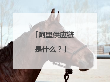 阿里供应链是什么?