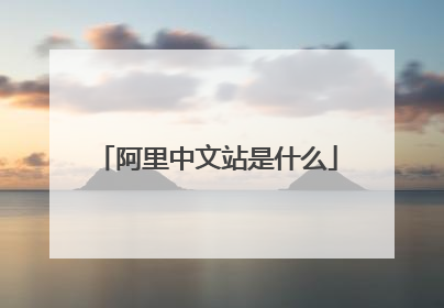 阿里中文站是什么