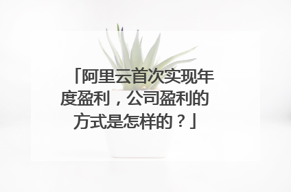 阿里云首次实现年度盈利,公司盈利的方式是怎样的?