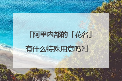 阿里内部的「花名」有什么特殊用意吗?