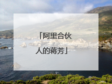 阿里合伙人的蒋芳