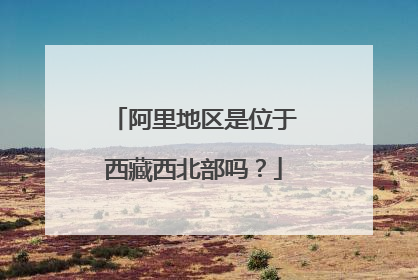 阿里地区是位于西藏西北部吗?