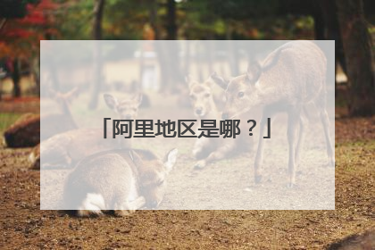 阿里地区是哪?