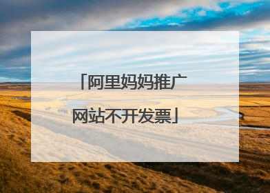阿里妈妈推广网站不开发票