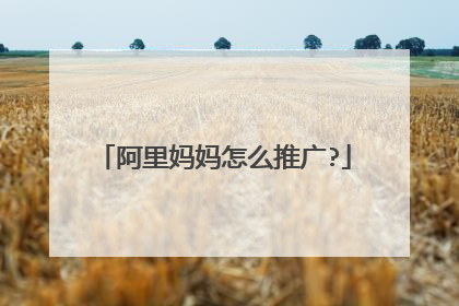 阿里妈妈怎么推广?