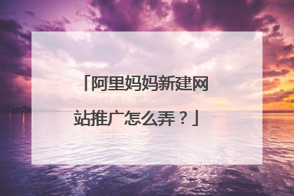 阿里妈妈新建网站推广怎么弄?