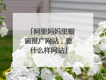 阿里妈妈里橱窗推广网站,要什么样网站