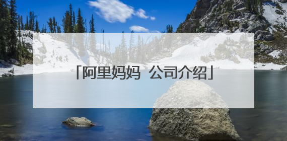 阿里妈妈 公司介绍