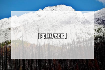 阿里尼亚