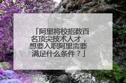 阿里将校招数百名顶尖技术人才,想要入职阿里需要满足什么条件?