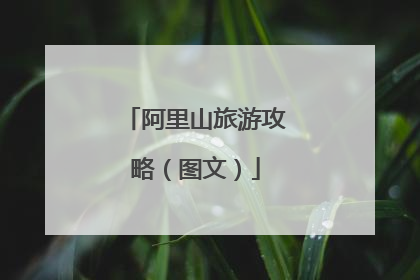 阿里山旅游攻略(图文)
