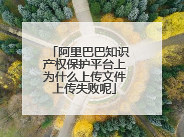 阿里巴巴知识产权保护平台上为什么上传文件上传失败呢