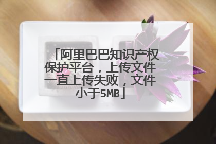 阿里巴巴知识产权保护平台,上传文件一直上传失败,文件小于5MB