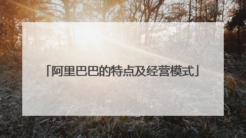 阿里巴巴的特点及经营模式