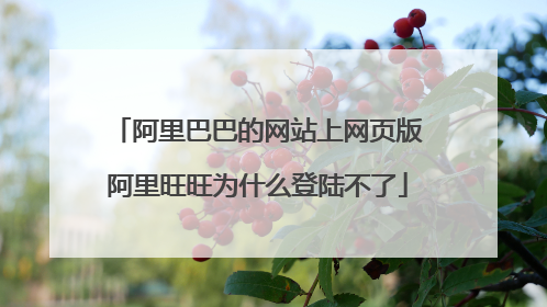 阿里巴巴的网站上网页版阿里旺旺为什么登陆不了