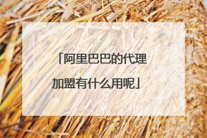 阿里巴巴的代理加盟有什么用呢