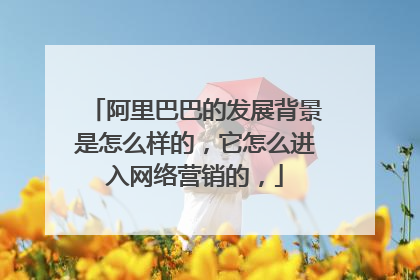 阿里巴巴的发展背景是怎么样的，它怎么进入网络营销的，