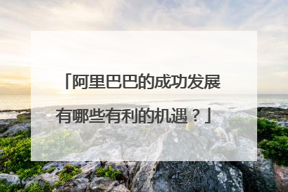 阿里巴巴的成功发展有哪些有利的机遇?