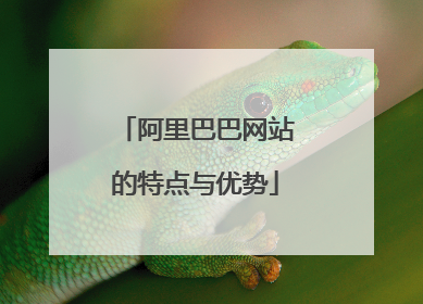 阿里巴巴网站的特点与优势