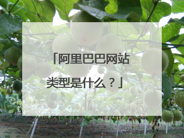 阿里巴巴网站类型是什么?