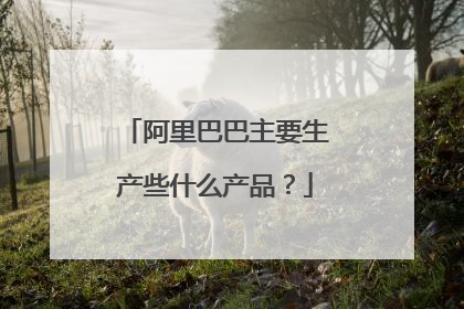 阿里巴巴主要生产些什么产品?