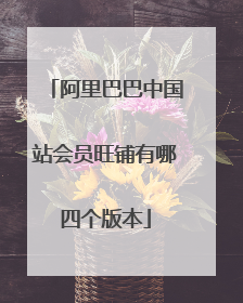 阿里巴巴中国站会员旺铺有哪四个版本