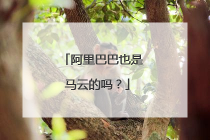 阿里巴巴也是马云的吗？