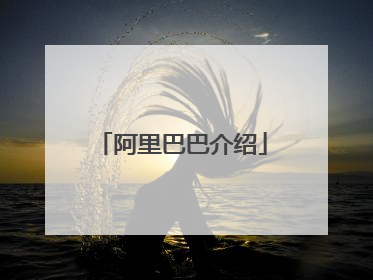 阿里巴巴介绍