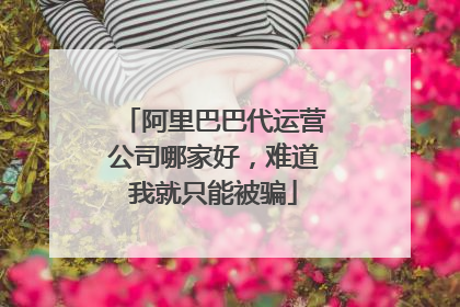 阿里巴巴代运营公司哪家好,难道我就只能被骗