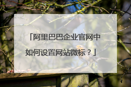 阿里巴巴企业官网中如何设置网站微标？
