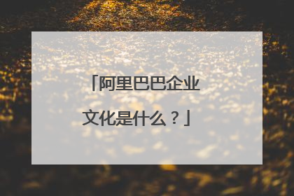 阿里巴巴企业文化是什么?