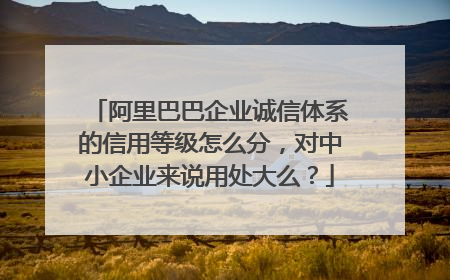 阿里巴巴企业诚信体系的信用等级怎么分,对中小企业来说用处大么?
