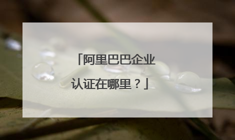 阿里巴巴企业认证在哪里?