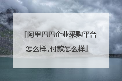 阿里巴巴企业采购平台怎么样,付款怎么样