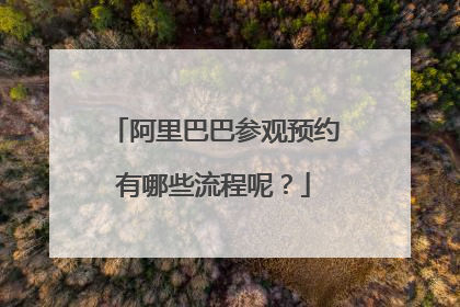 阿里巴巴参观预约有哪些流程呢?