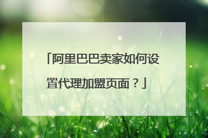 阿里巴巴卖家如何设置代理加盟页面?