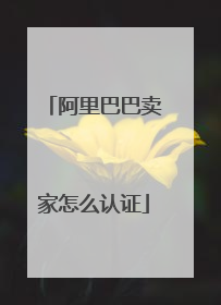 阿里巴巴卖家怎么认证