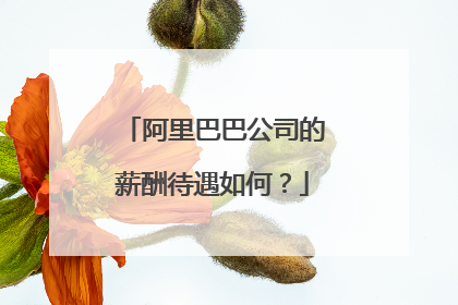 阿里巴巴公司的薪酬待遇如何?