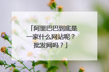 阿里巴巴到底是一家什么网站呢?批发网吗?
