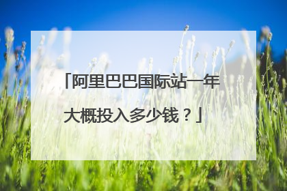 阿里巴巴国际站一年大概投入多少钱?