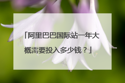 阿里巴巴国际站一年大概需要投入多少钱?
