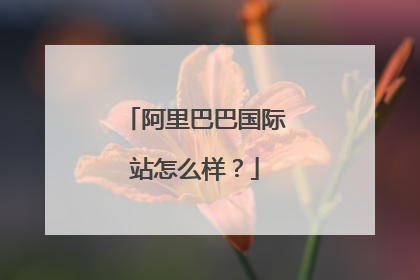 阿里巴巴国际站怎么样?