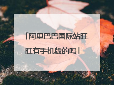 阿里巴巴国际站旺旺有手机版的吗