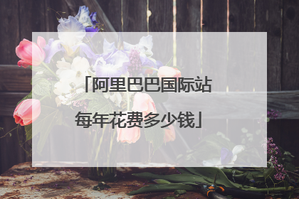 阿里巴巴国际站每年花费多少钱