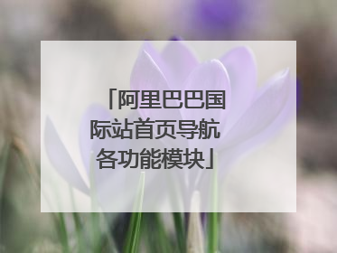 阿里巴巴国际站首页导航各功能模块