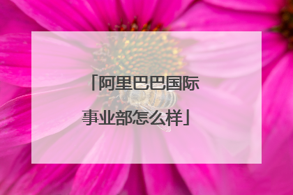 阿里巴巴国际事业部怎么样
